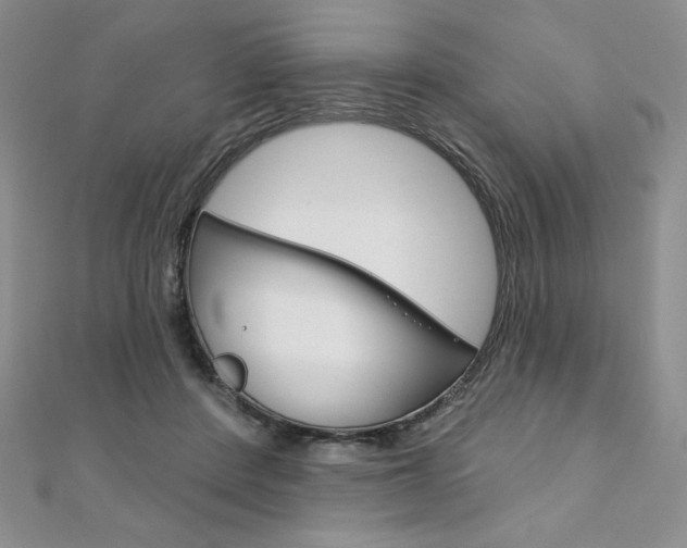 X0000112020408200908031046