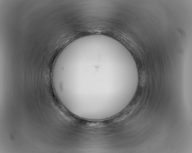 X0000112020414200908031045