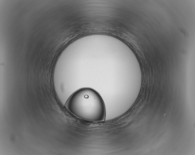 X0000112020415200908031045