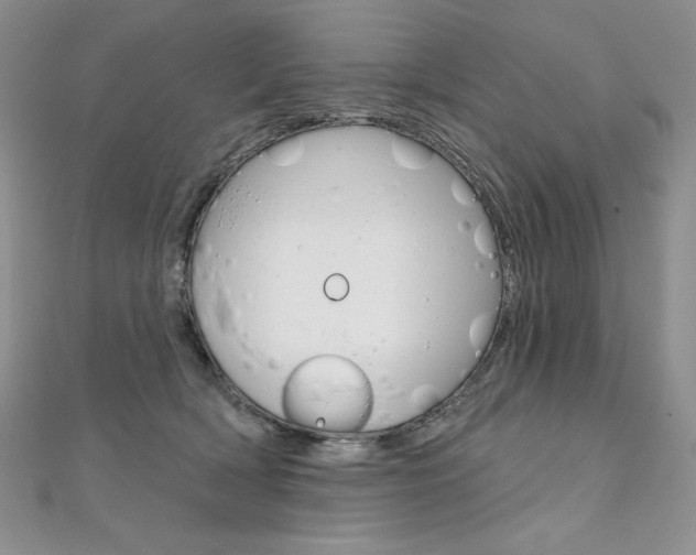 X0000112020418200908031045