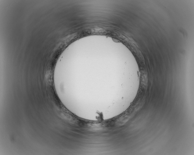 X0000112020419200908031045