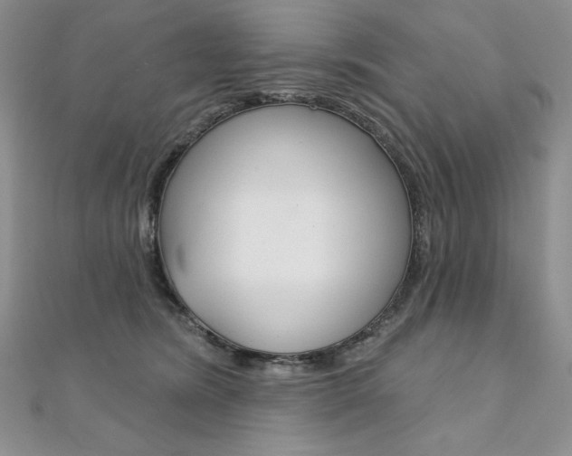 X0000112020420200908031045