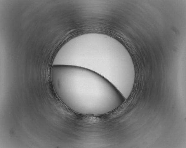 X0000112020421200908031045