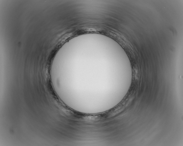 X0000112020422200908031045