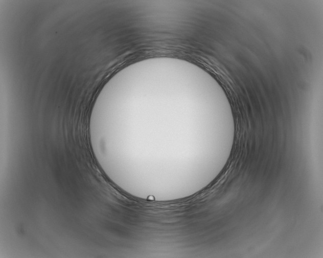 X0000112020425200908031045