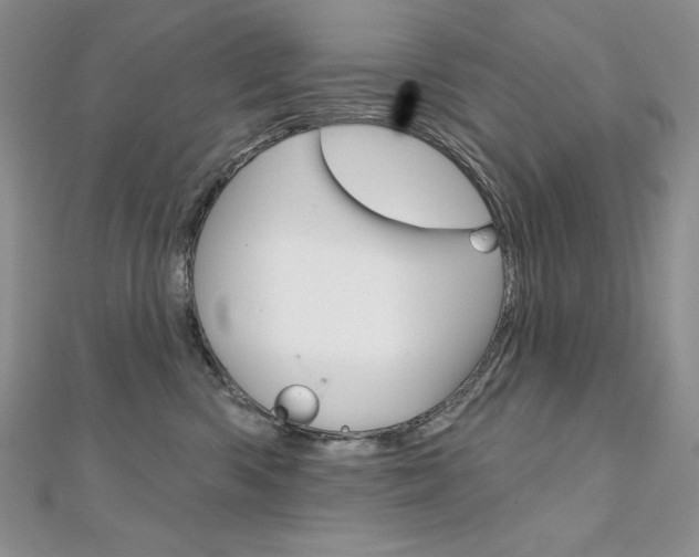 X0000112020426200908031045
