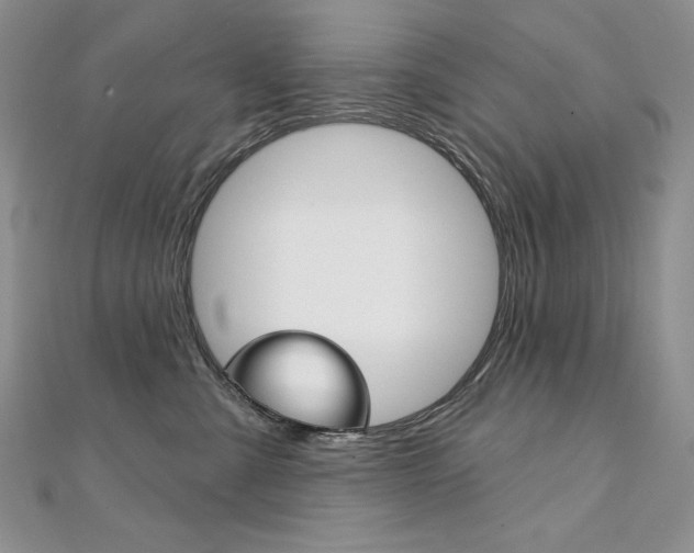 X0000112020427200908031045