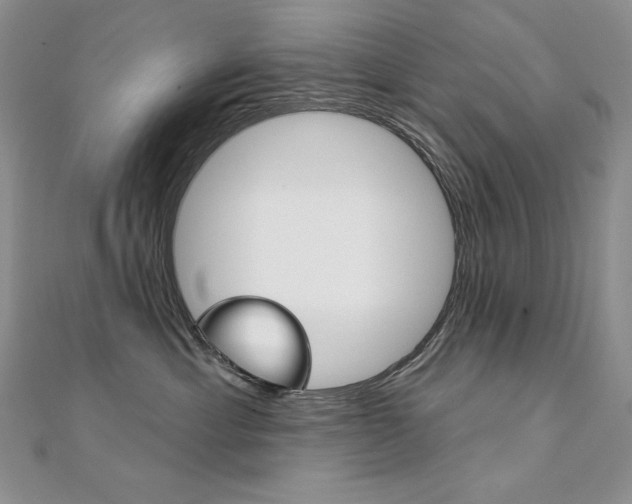 X0000112020429200908031045