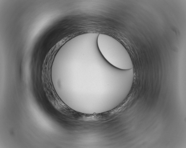 X0000112020430200908031045