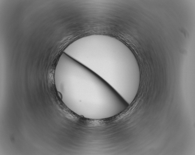 X0000112020432200908031045