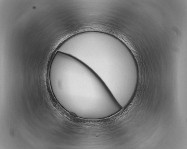 X0000112020434200908031045