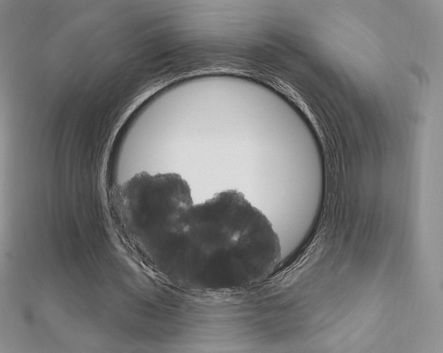 X0000112020435200908031045