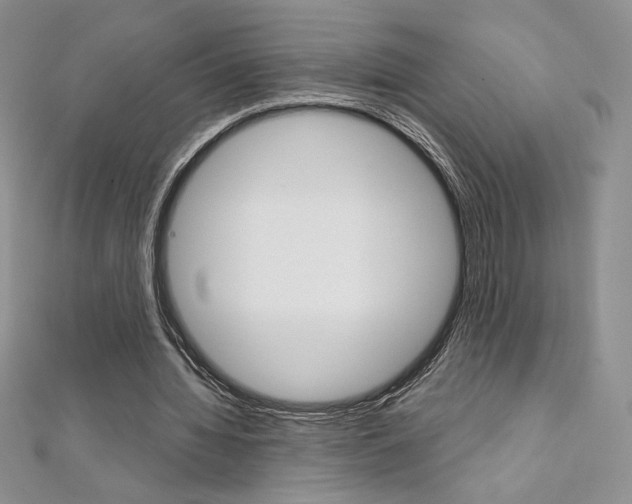 X0000112020436200908031045