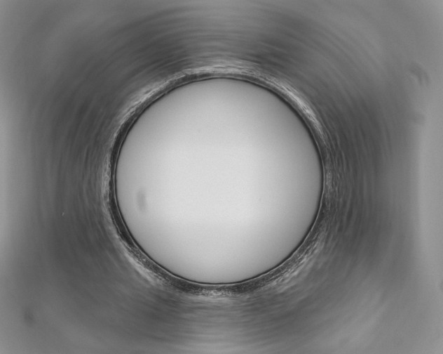 X0000112020437200908031045