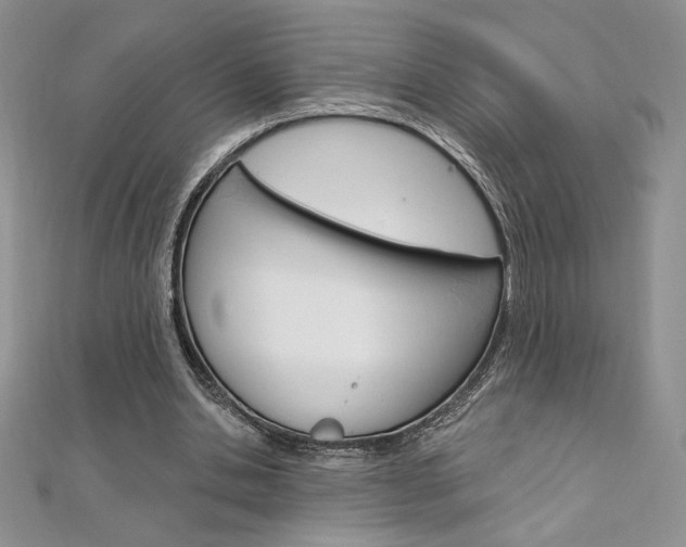 X0000112020438200908031045