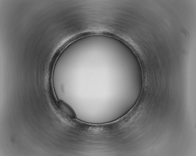 X0000112020440200908031045