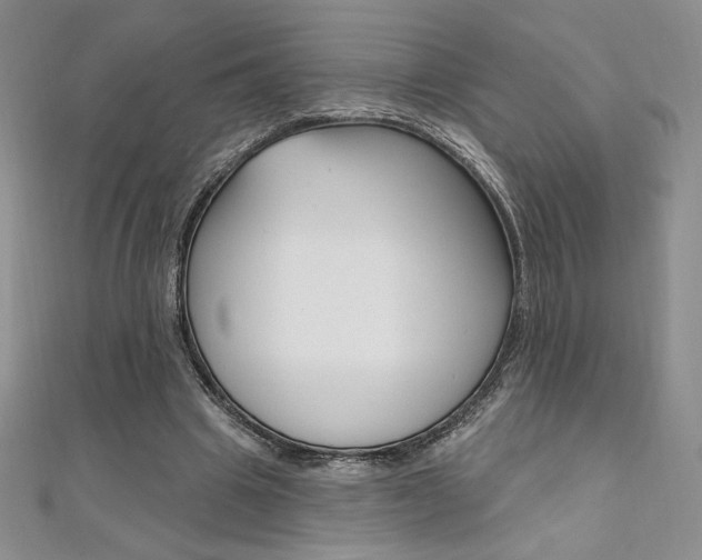 X0000112020441200908031045