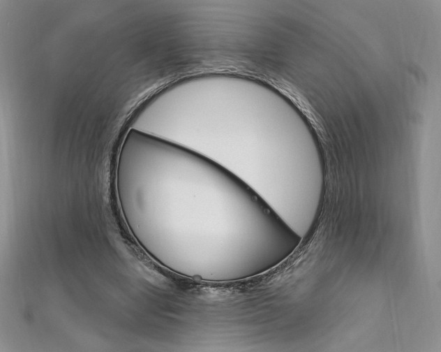 X0000112020442200908031045