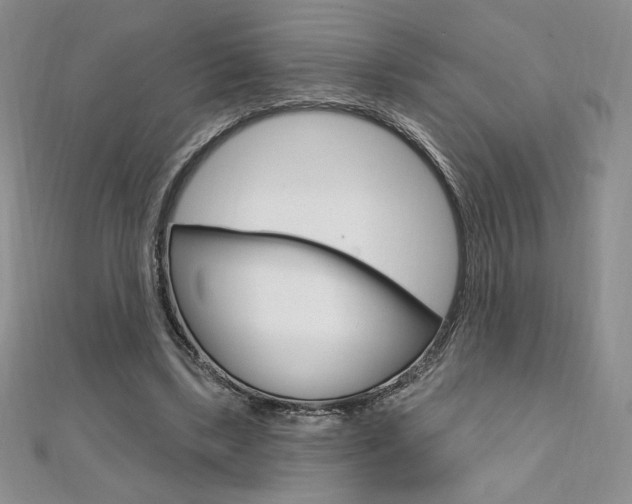 X0000112020443200908031045