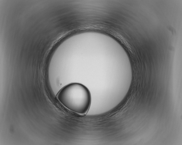 X0000112020444200908031045
