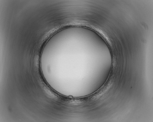 X0000112020445200908031045
