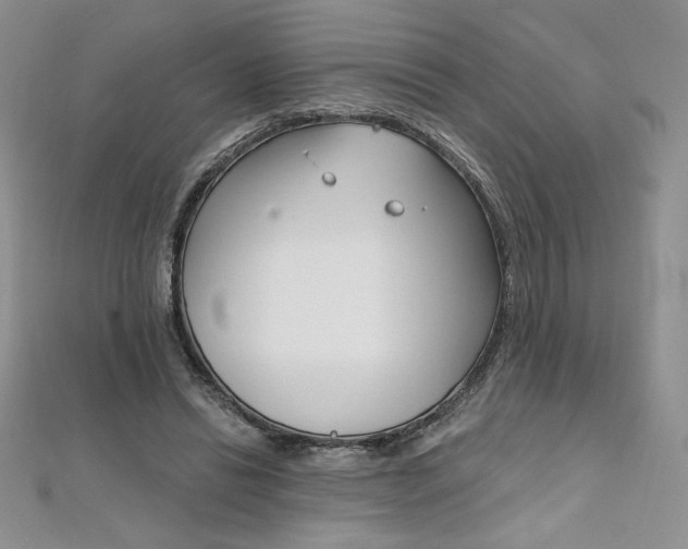 X0000112020446200908031045