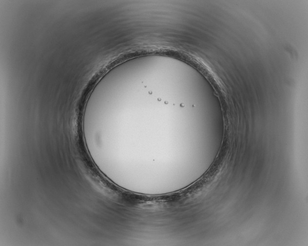 X0000112020447200908031045