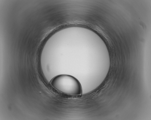 X0000112020448200908031045