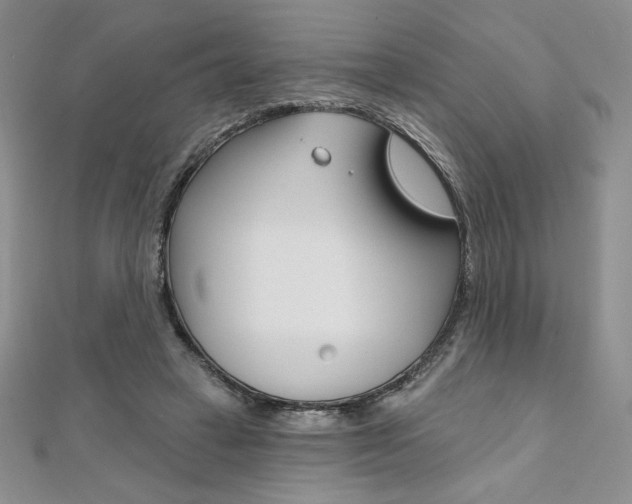 X0000112020449200908031045