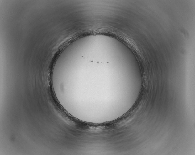 X0000112020450200908031045