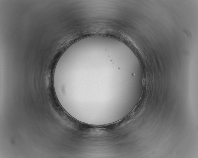 X0000112020451200908031045