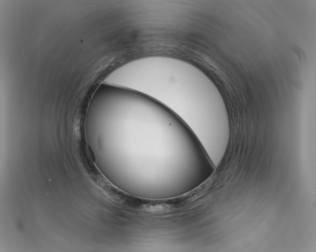X0000112020452200908031045