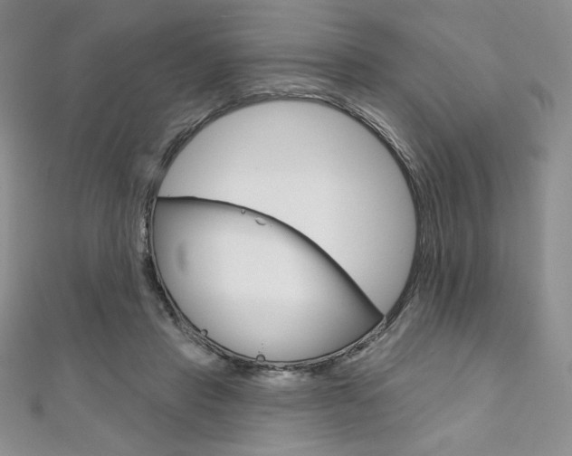 X0000112020453200908031045