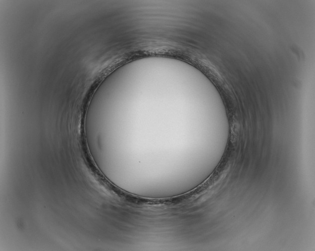 X0000112020454200908031045