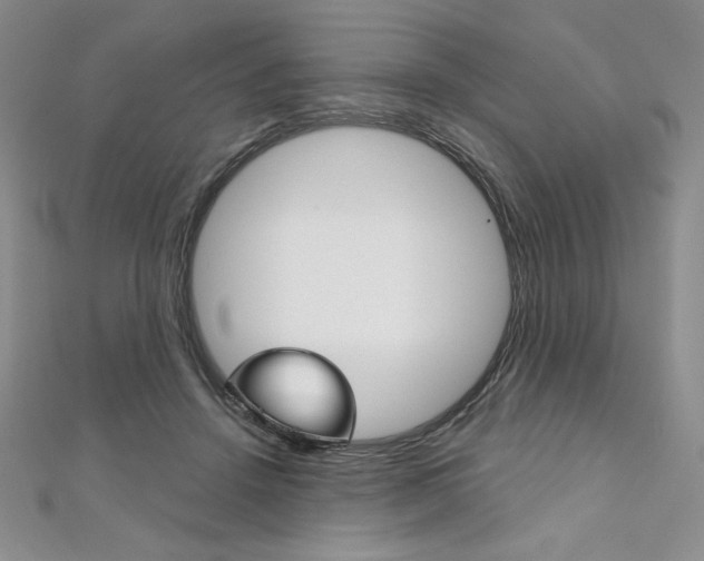 X0000112020456200908031045