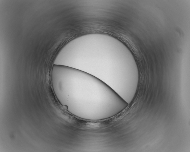 X0000112020457200908031045