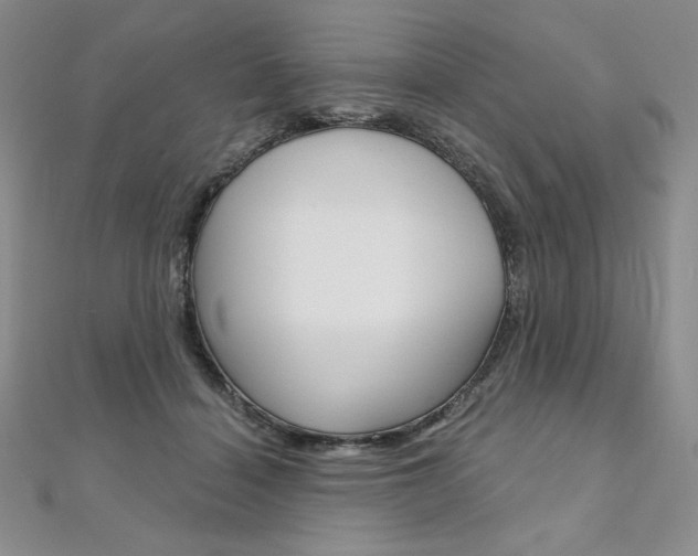 X0000112020460200908031045