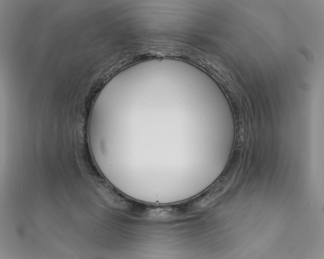 X0000112020461200908031045