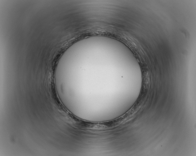 X0000112020463200908031045