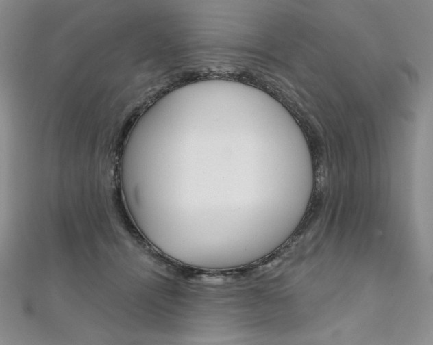 X0000112020464200908031045