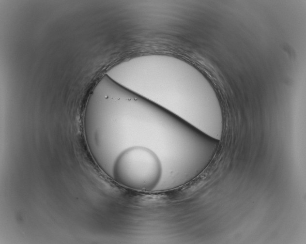 X0000112020465200908031045
