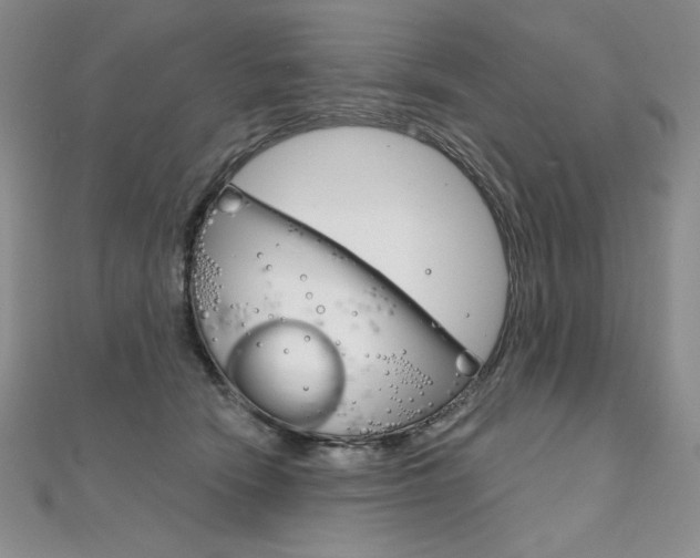 X0000112020466200908031045