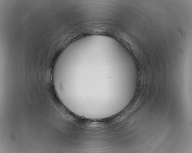 X0000112020467200908031045