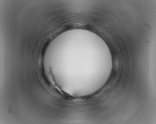 X0000112020468200908031045