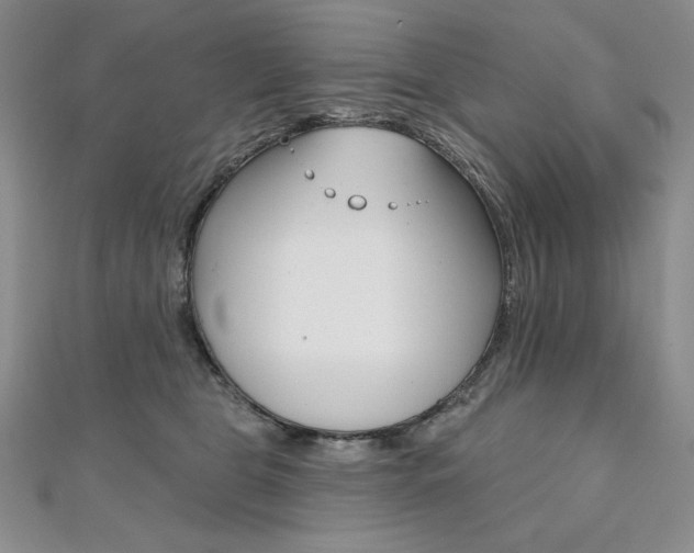 X0000112020469200908031045