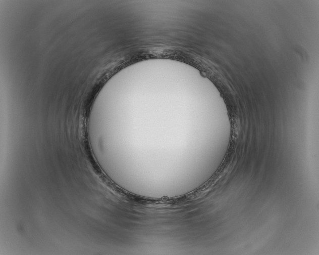 X0000112020470200908031045