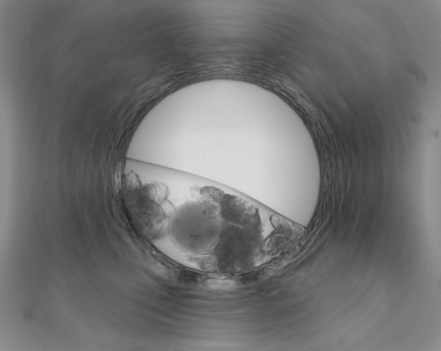 X0000112020471200908031045