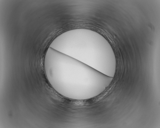 X0000112020473200908031045