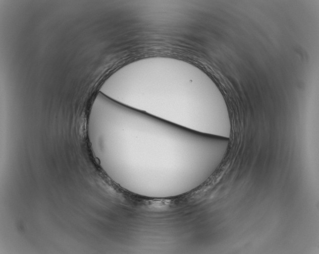 X0000112020474200908031045