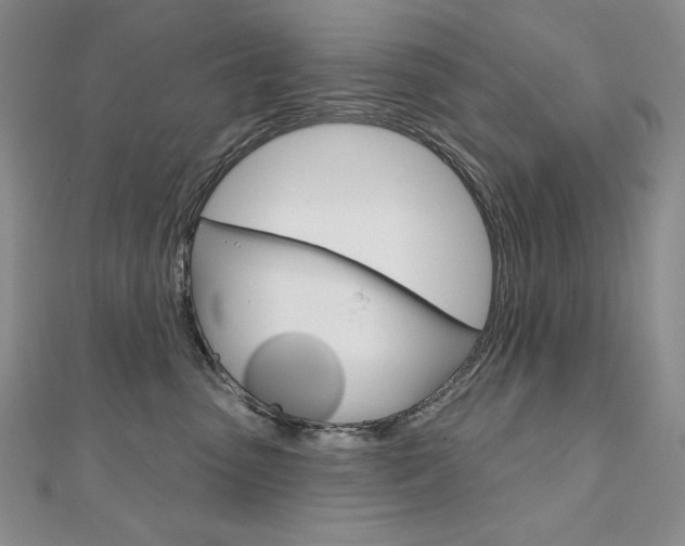 X0000112020475200908031045